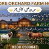 Lahore Orchard Farm House Plots 2,2,3,& 4 Kanal Plots